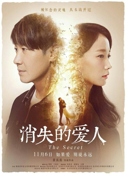 仿制假交通银行流水电子版PDF